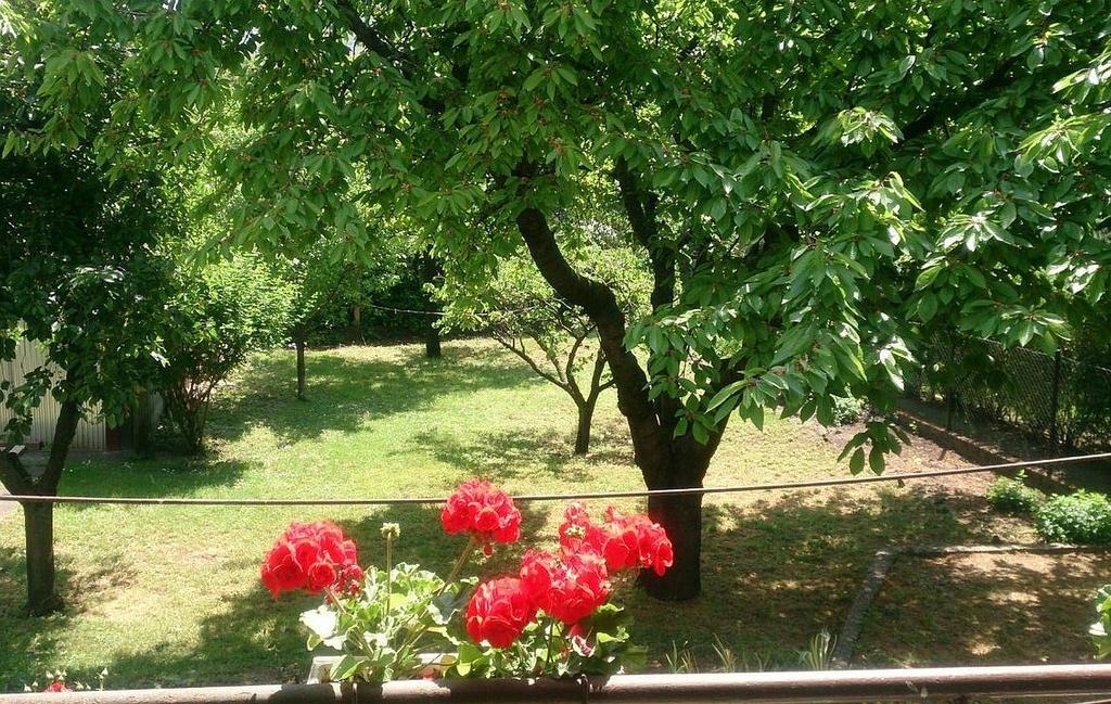 Будинок відпочинку Haus In Mit Garten Будапешт